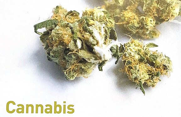 Cannabis.jpeg 